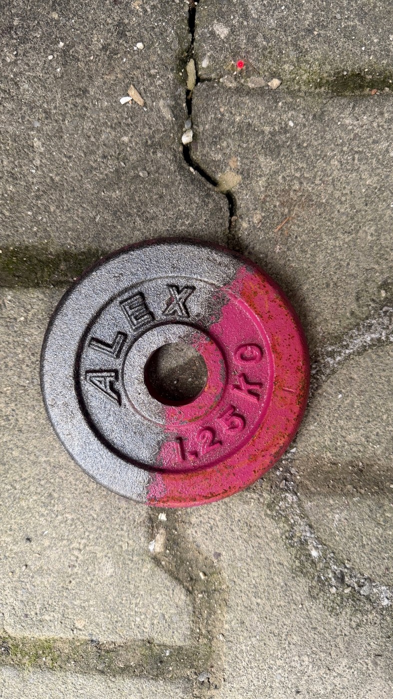 Reinigung einer Metall-Gewichtsscheibe